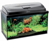 Аквариум Aquael Classic 100, 200 л