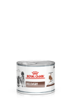 Royal Canin RECOVERY (мусс), 195 гр