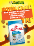 Royal Canin Starter Mini Dog, 1кг