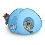 Amiplay Игрушка Pounce Hous Spin Toy
