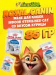 Royal Canin INDOOR STERILISED Cat (желе), 85 гр