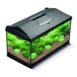 Аквариум Aquael LEDDY Plus 40, 25 л