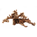 Коряга мангровая Natural color для аквариума PREMIUM MANGROVE ROOT 20-40 см ≈20кг