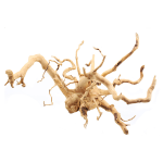 Коряга саванная Natural color для аквариума PREMIUM SPIDER ROOT 70-90 см 8-10кг