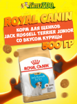 Royal Canin Jack Russell Terrier Junior, 0,5 кг