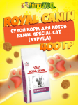 Royal Canin Renal Special Cat, 400 гр