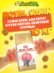 Royal Canin Kitten British Shorthair, 10 кг