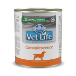 Farmina Vet Life Dog Convalescence (курица), 300 гр