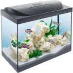 Tetra Starter Line Tank LED black Аквариумный комплект, 80 л