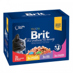 Консервы для кошек BRIT Family Plate, 12*100 гр