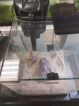 Аквариум AQUAEL SHRIMP SET SMART 2, 30 л (Уценка)