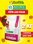 Nature's Protection Mini Extra Salmon (лосось), 2 кг