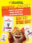 Royal Canin Renal Feline Cat (паштет), 85 гр*12 шт