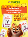 Royal Canin RENAL FELINE CHICKEN Cat (соус), 85 гр*12шт