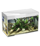 Аквариум Aquael GLOSSY 80, 125 л