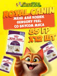 Royal Canin Sensory Feel (желе), 85 гр*12шт