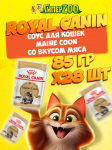 Royal Canin MAINE COON (соус), 85 гр*28 шт