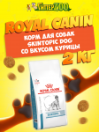 Skintopic Dog, 2 кг
