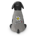 Свитер Freezack Swissness серый 25см, XS