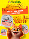 Morando Professional Adult паштет (лосось), 100 гр*16 шт.