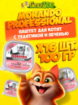 Morando Professional Kitten паштет (телятина, печень), 100 гр*16 шт.