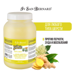 Iv San Bernard Ginger and Elderbery шампунь против перхоти, 3,25 л