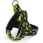 Шлея Freezack Nordic mini 2 черно-салатовая 15мм (31-40см)