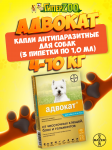 Bayer Адвокат капли на холку для собак 4-10 кг, 3 пипетки по 1 мл