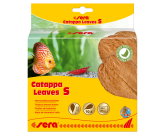 SERA Catappa Leaves S- листья индийского миндаля