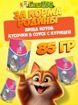 Пища котов с курочкой (соус), 85гр