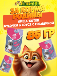 Пища котов с говядиной (соус), 85гр