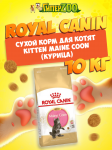 Royal Canin Kitten Maine Coon, 10 кг