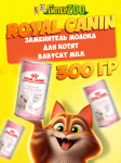 Royal Canin Babycat Milk, 300 гр