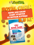 Royal Canin Giant Starter, 3,5 кг
