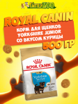 Royal Canin Yorkshire Junior, 500 гр