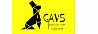 GAVS