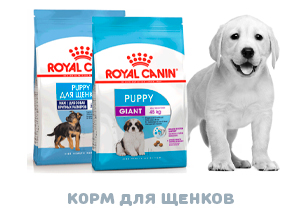 Корм для щенков Роял Канин