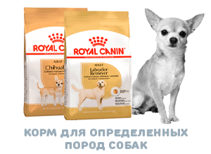 Купить корм Роял Канин для породистых собак