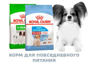 Купить корм Роял Канин для собак повседневное питание