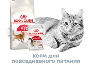 Корм для кошек Роял Канин повседневное питание