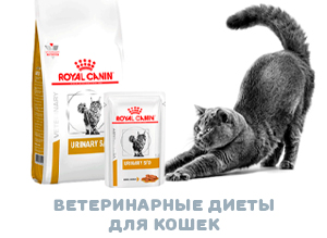 Ветеринарный корм Роял Канин для котов