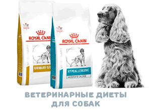Купить ветеринарный корм Роял Канин для собак