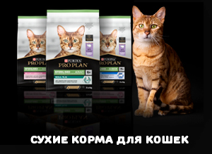 Сухие корма для кошек Про план